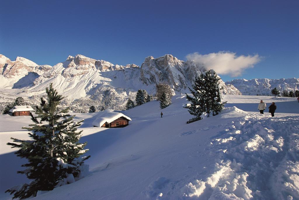 Apartments La Baita Santa Cristina Val Gardena Dış mekan fotoğraf